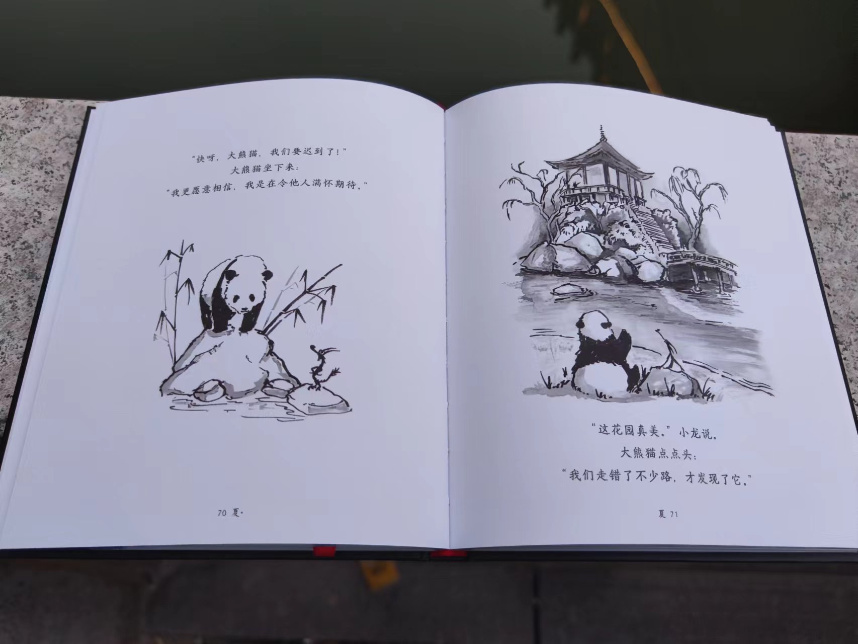 大熊猫和花的双向奔赴有多感人,那些微小但重要的事图书