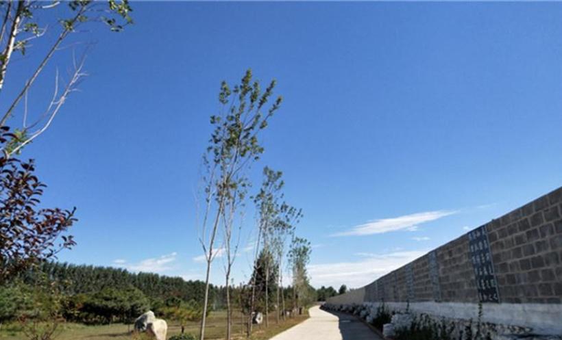 郑州最大的回民公墓,郑州公墓价格一览表