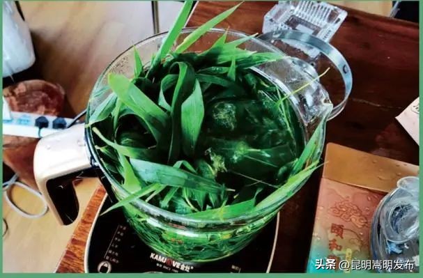 花博会云南,花博会来了