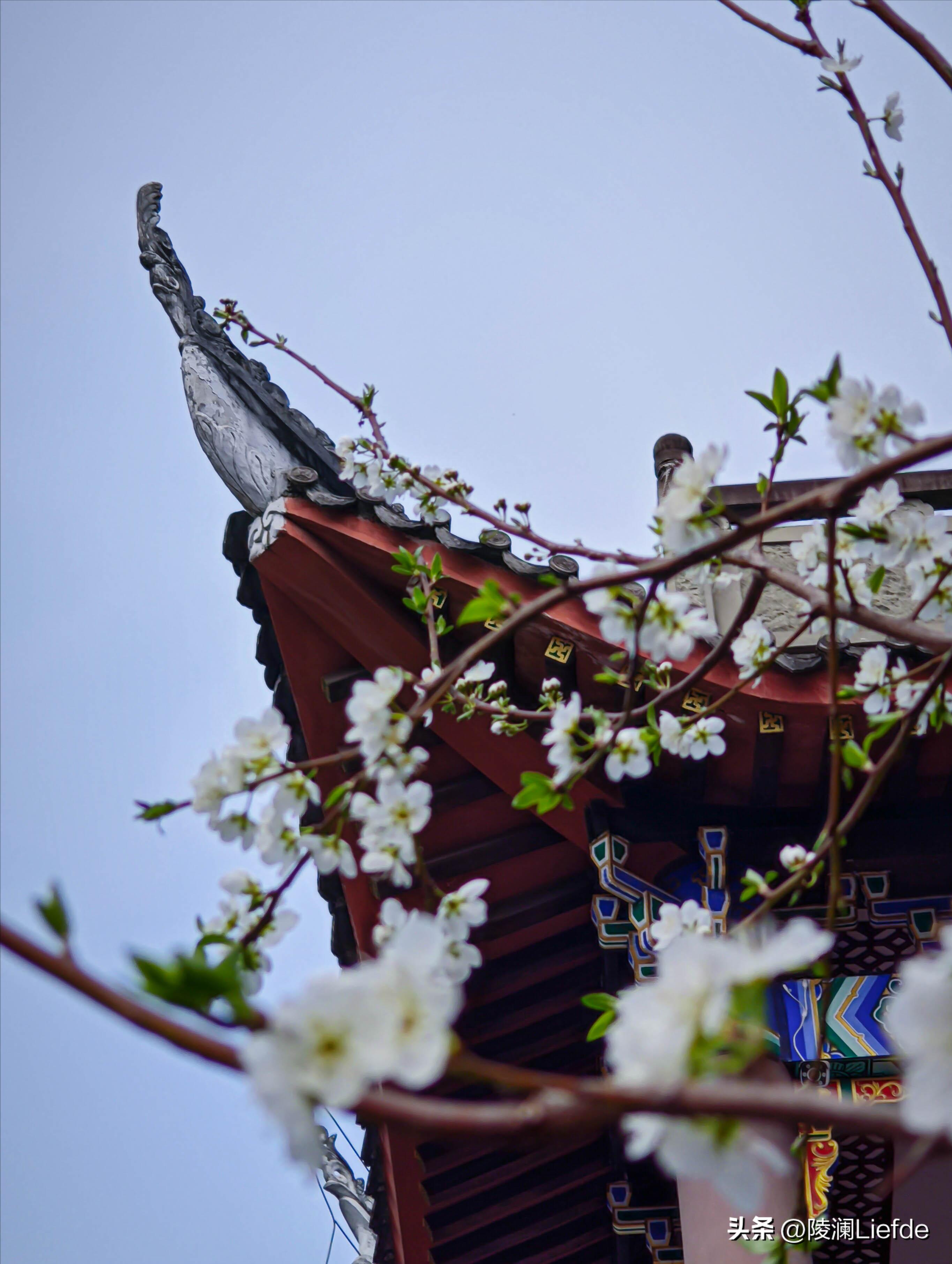 重庆踏青一日游景点推荐,重庆主城4月小众景点