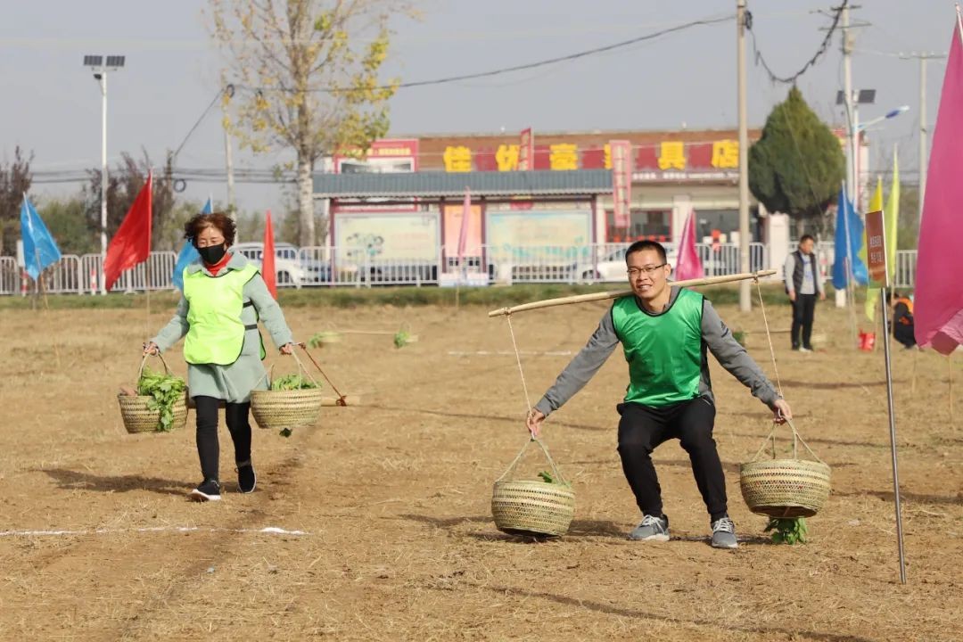 庆丰收运动会舞蹈,庆丰收趣味运动会