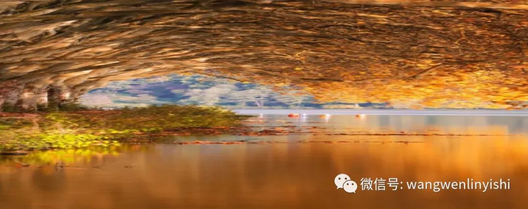 温岭手术多少钱,wenlin手术成功案例