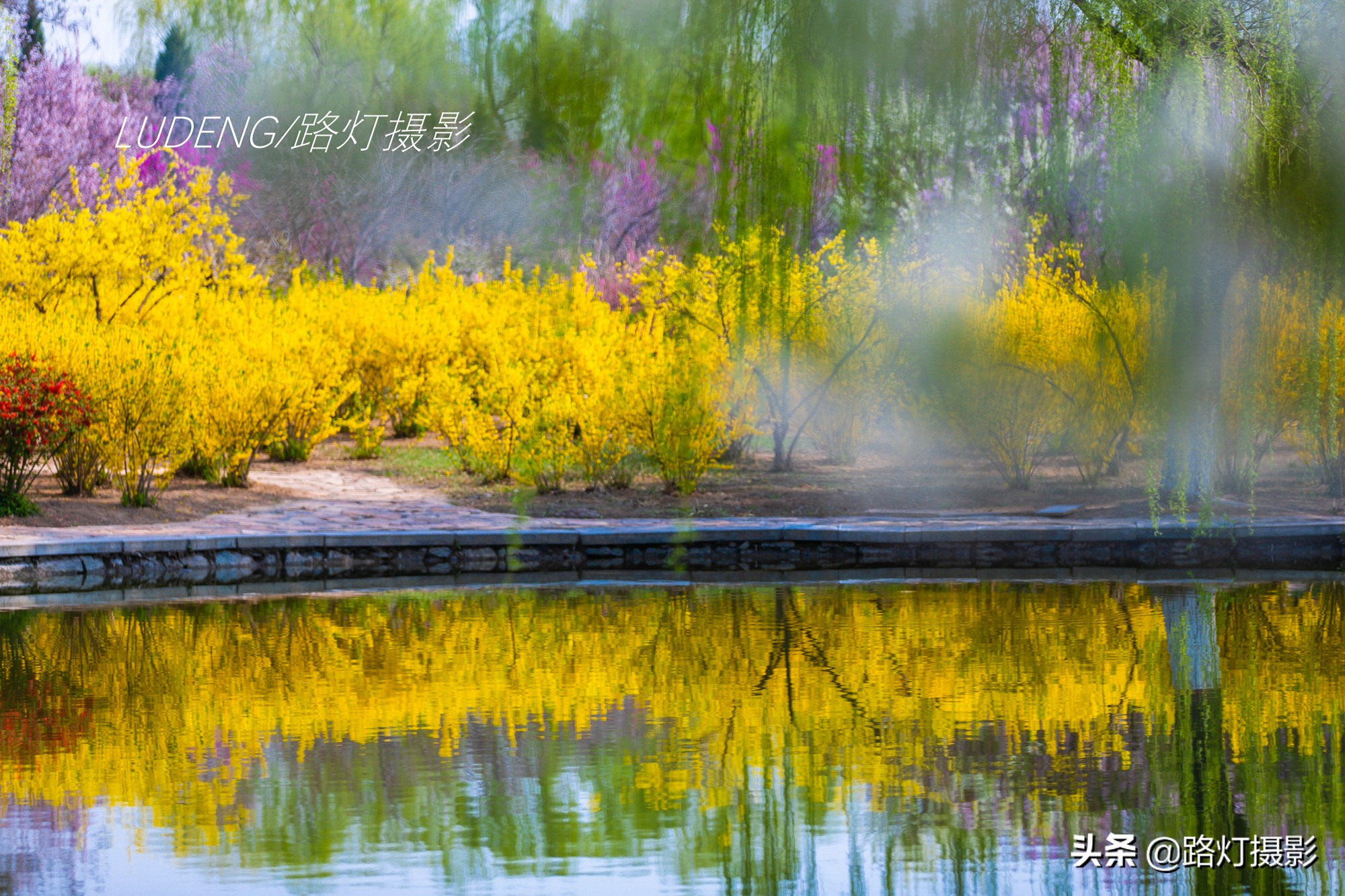 中国最美城市排名扬州,中国三月最美的地方扬州