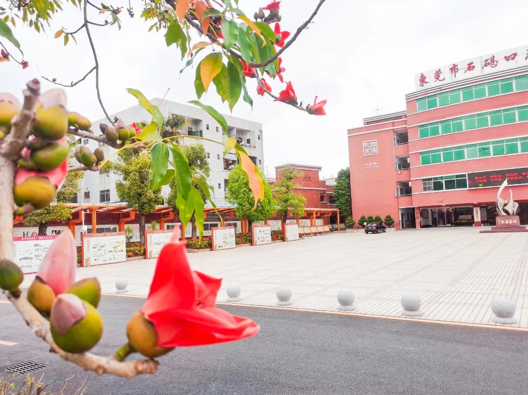 石碣四海学校学费多少钱,东莞四海学校招生简章