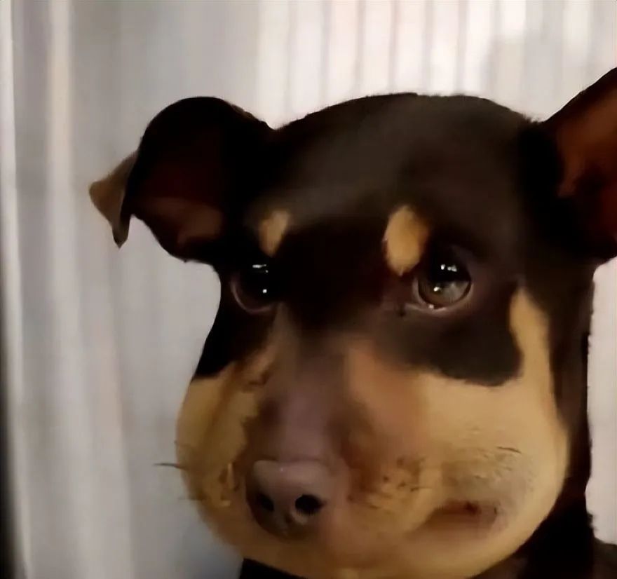 20w美金可以买一部豪车,20w美金在美国能买什么房子