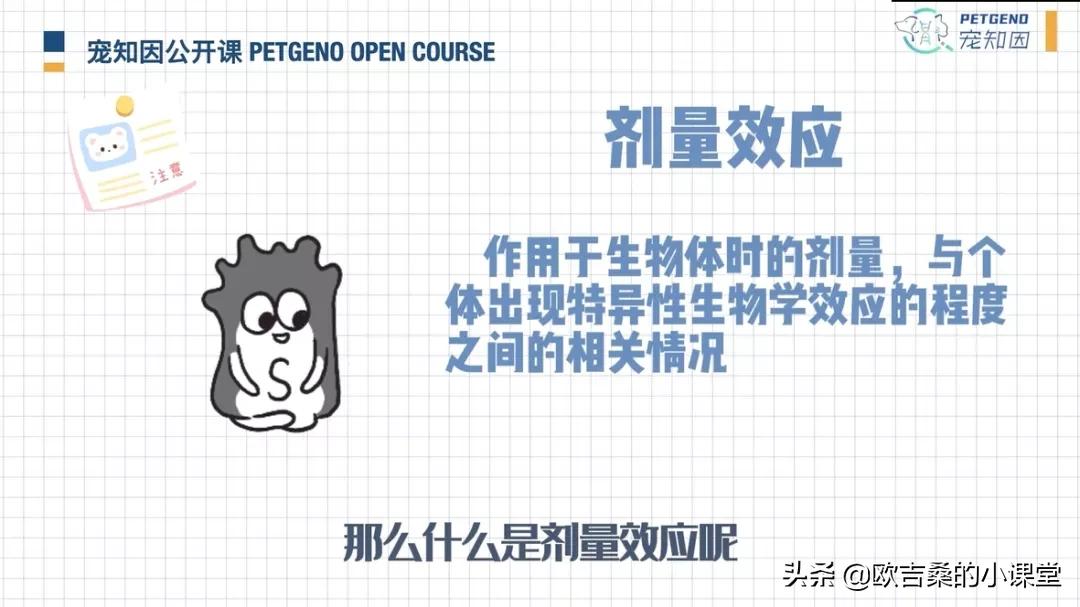 白斑基因可控吗,白斑基因优势