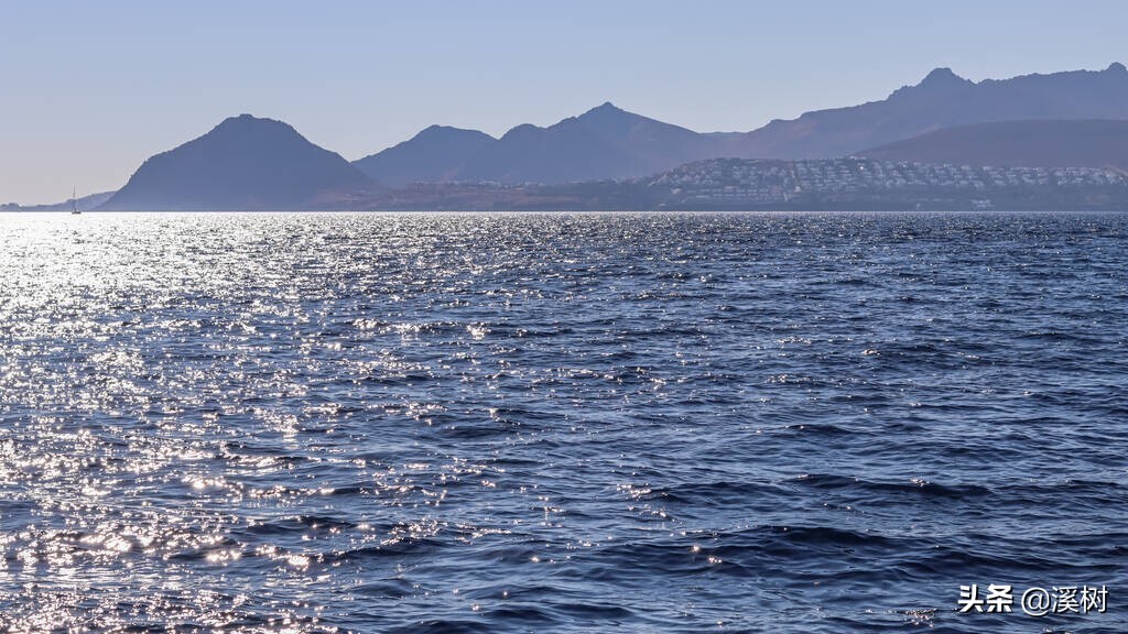 逃避使命的人——《约拿书》笔记