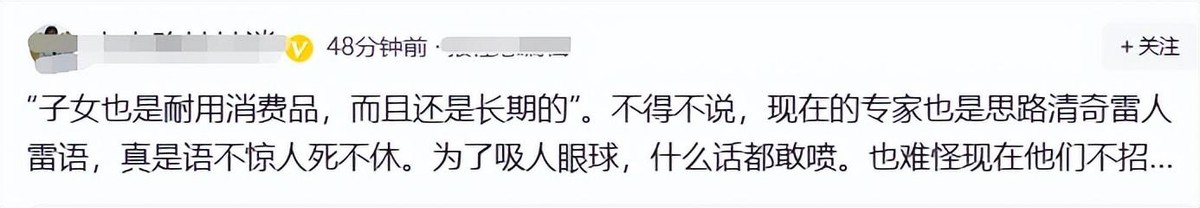 陈文玲消费品,陈文玲耐用消费品