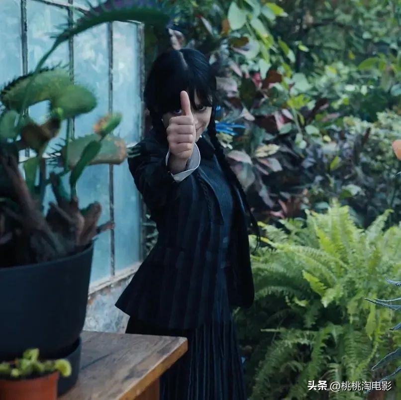 回顾2022年,从这些电影开始