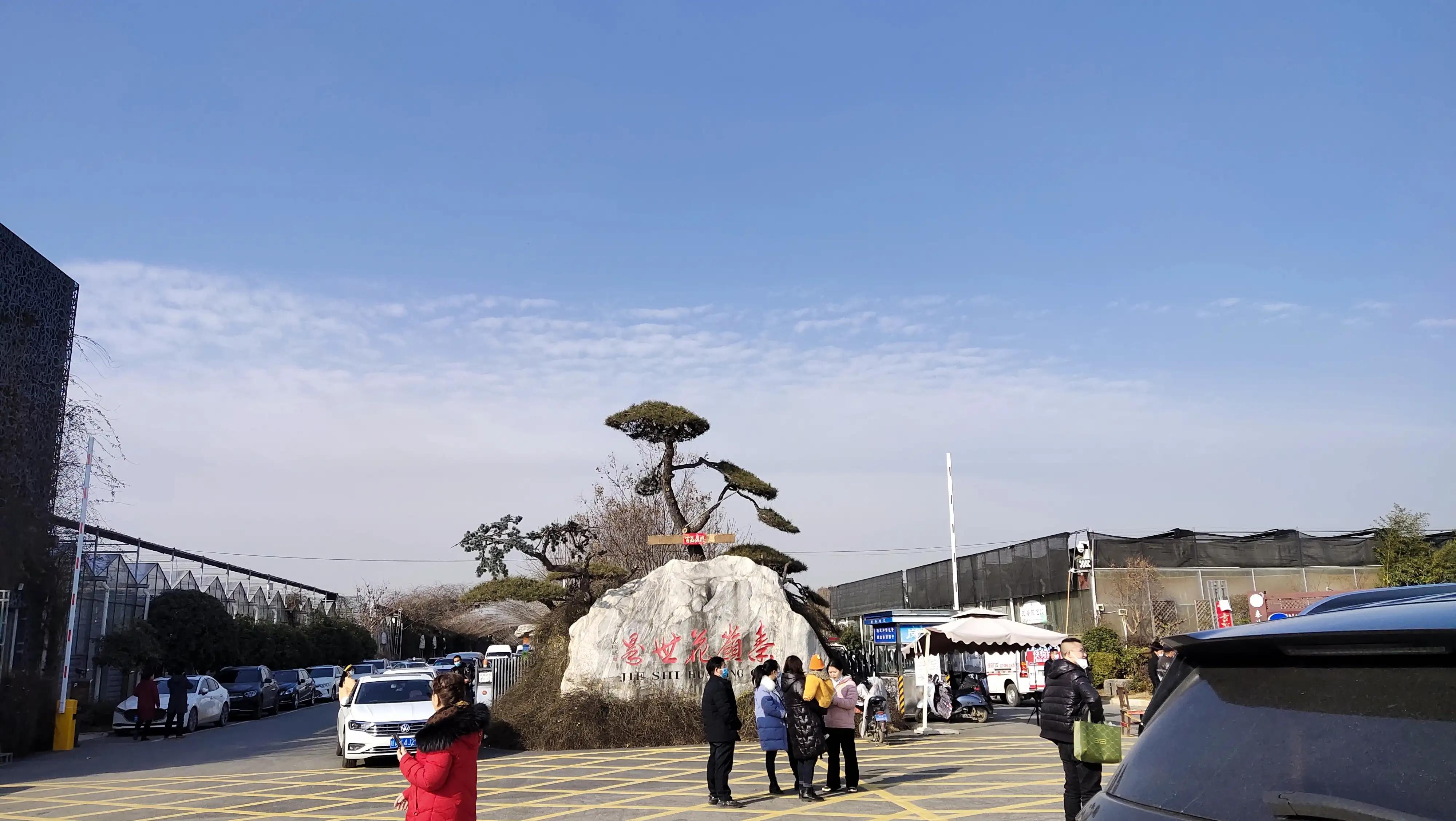 韦曲附近哪里有花卉市场,陕西省西安市秦岭花卉市场