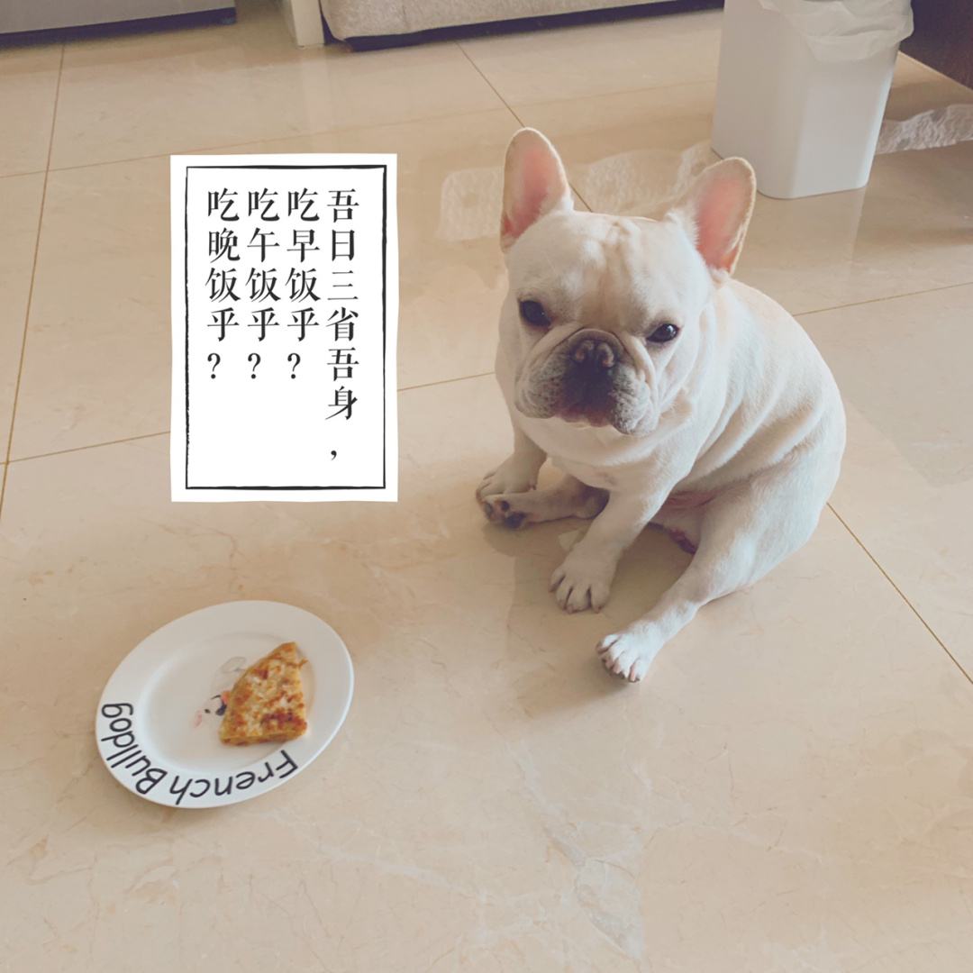 30斤法斗一天吃多少狗粮,法斗吃什么牌子狗粮好