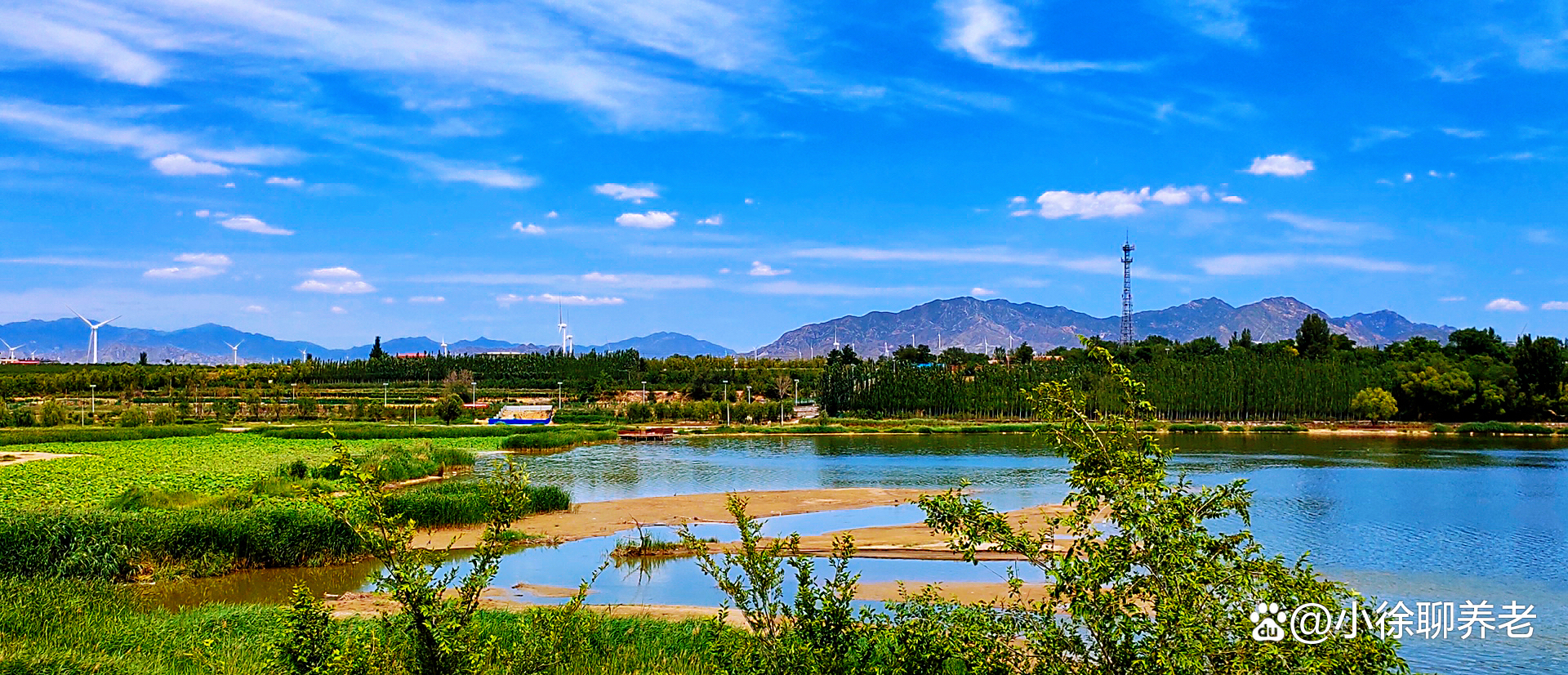 踏春赏花去！我在汤山原著的小江南里，找到了度假胜地的真谛