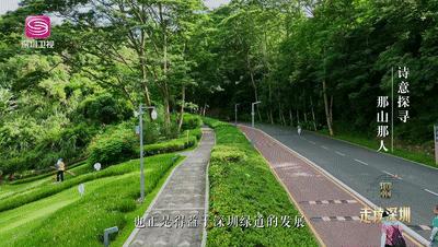 深圳哪里避暑最好玩,深圳避暑最佳旅游地