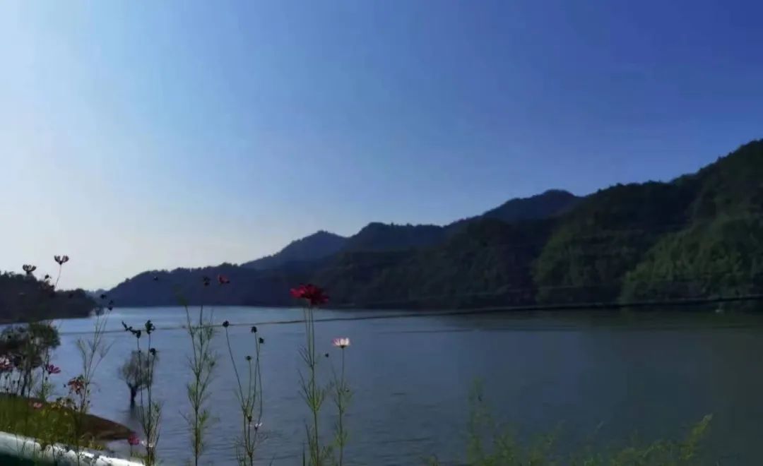 不斋,寻茶记六安瓜片