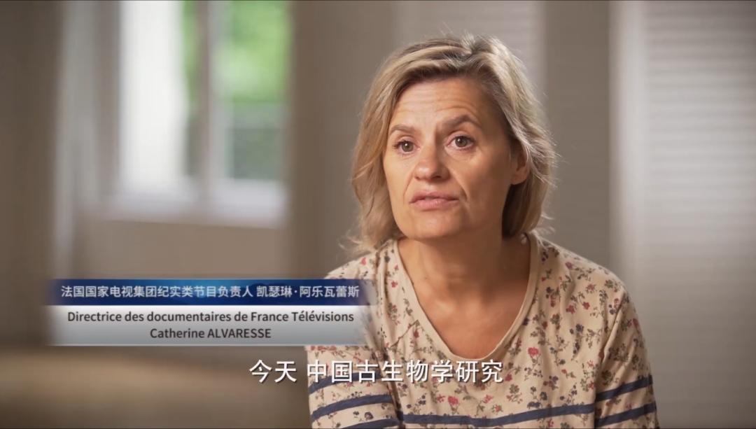 总台电影《北京人：人类最后的秘密》《就是要跑》《飞越苍穹》重磅发布