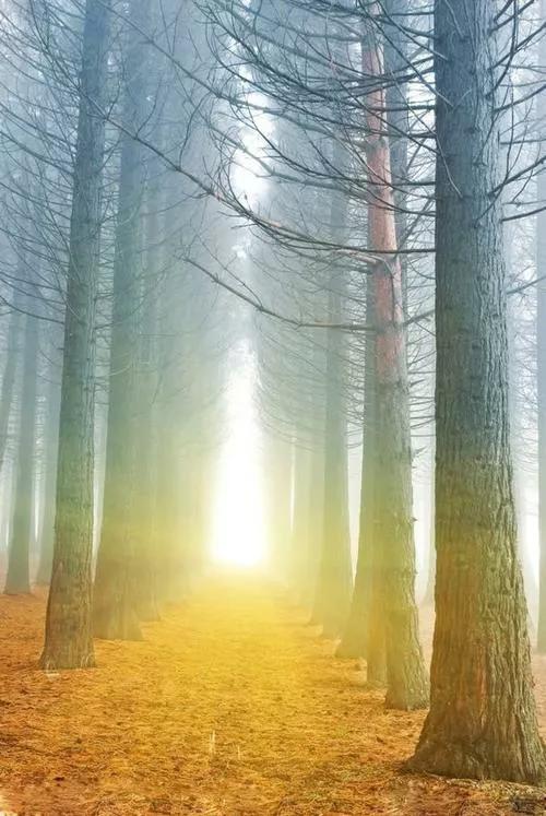 央企校招院校名单,考上这五所大学就能进央企