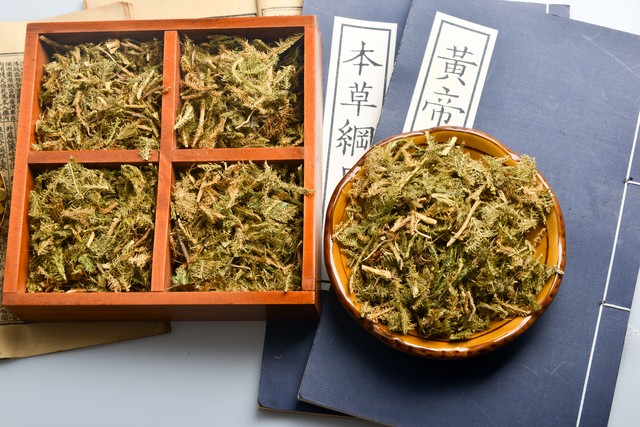 祛风湿中草药功效大全一览表,祛风湿的中药特效药