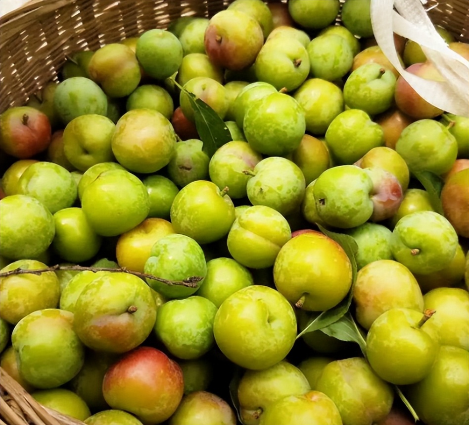 南方十大好吃水果有哪些,南方十大水果