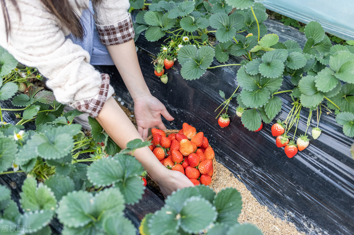 小县城投资10万左右的项目,小县城投资10万加盟项目