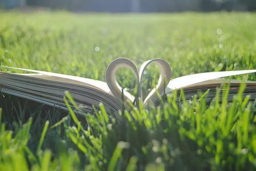 人应该怎样的活着,人应该怎样活着