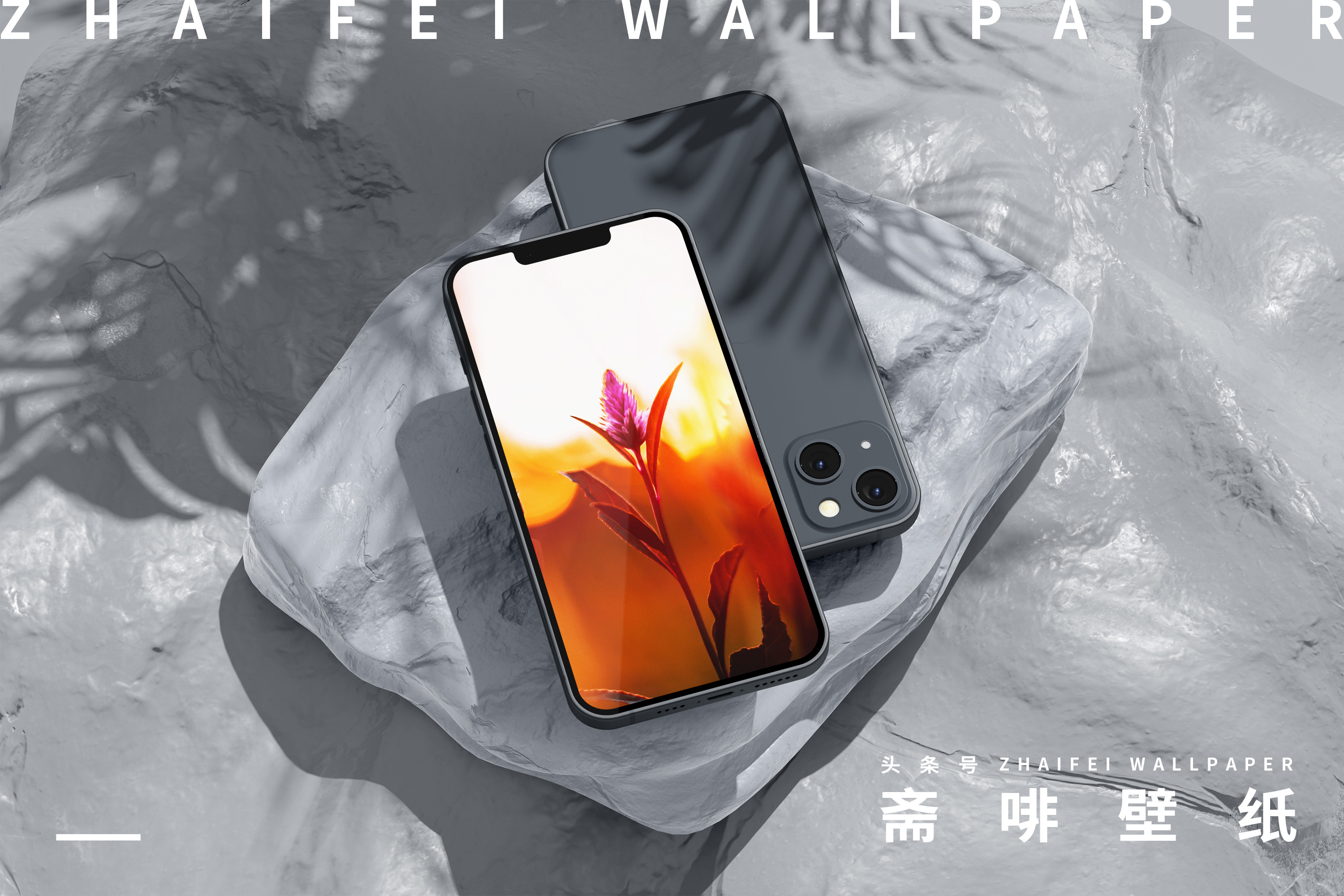 绿色全屏8k裸眼5d壁纸植物,绿色植物图片唯美高清壁纸