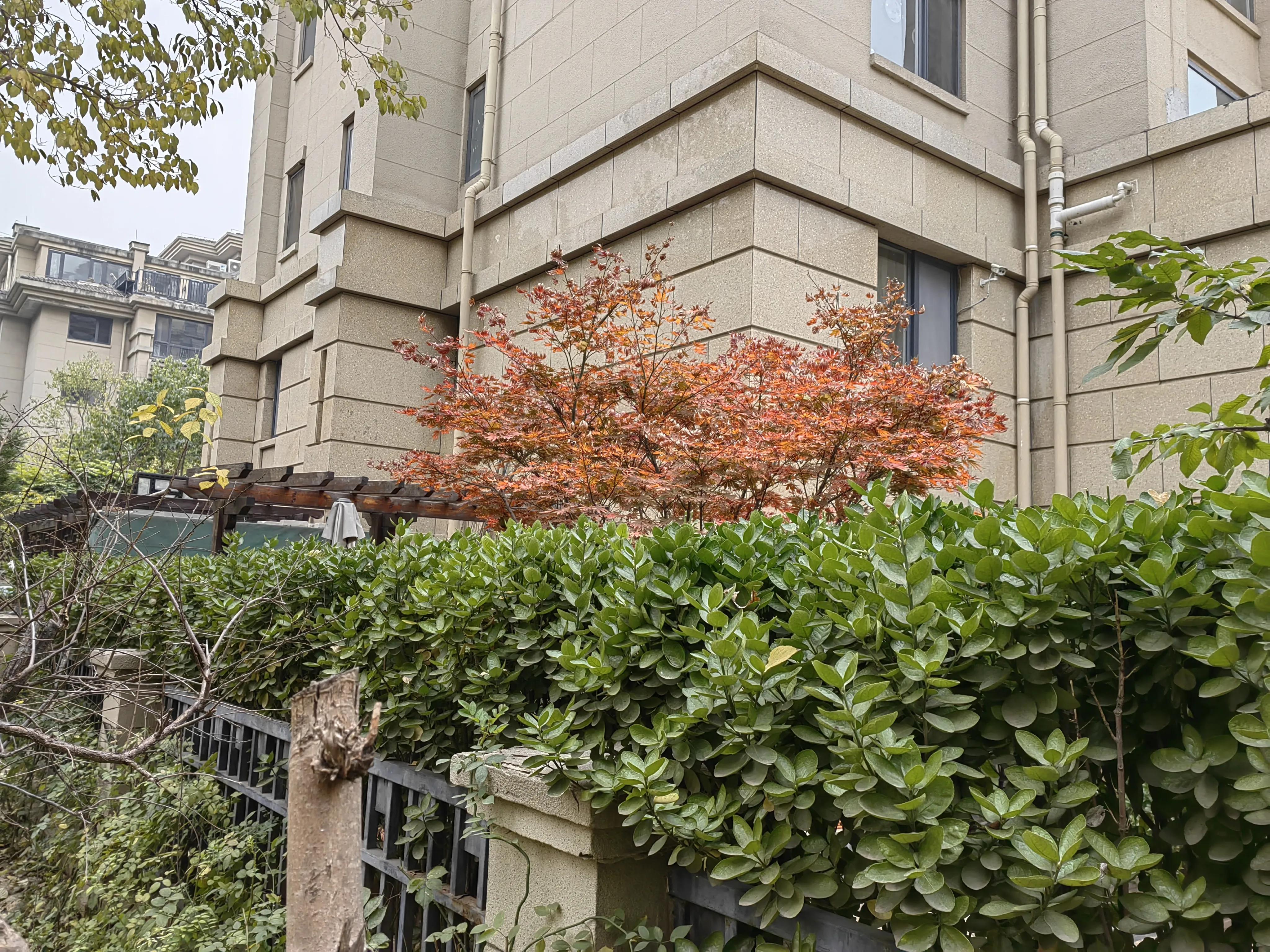 封控期间，一个人一见到我，就说他快疯了。怎么办呢？