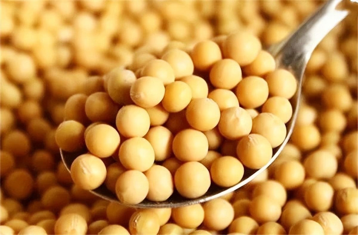 巴西对中国出口大豆问题,巴西大豆对中国出口新政策