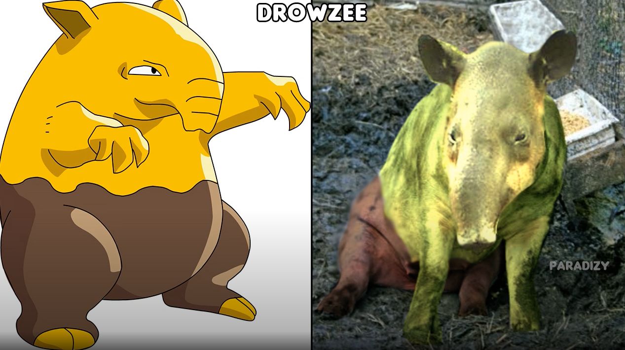 同人本子出场率最高的宝可梦，到底是什么来头？