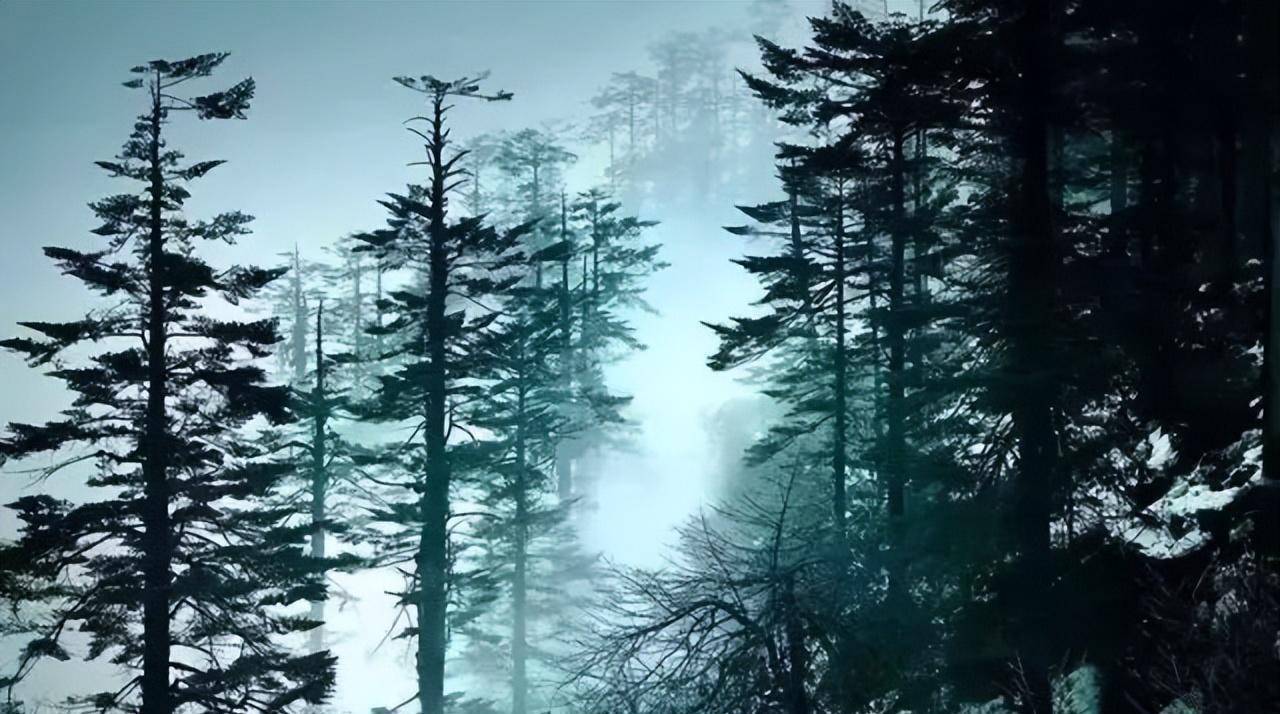 洪雅避暑哪里最好玩,洪雅避暑景点推荐