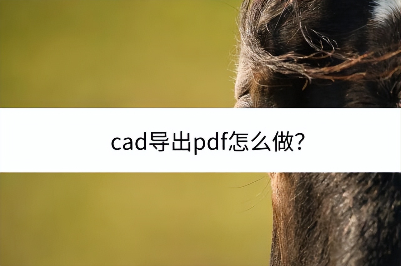 cad导出pdf文件特别大怎么解决,cad导出的pdf线怎么变得很粗