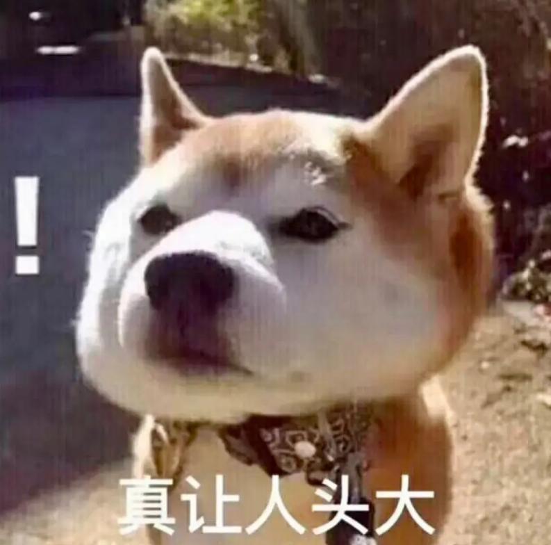 什么狗粮是所有类型狗都吃的,什么是好德牧