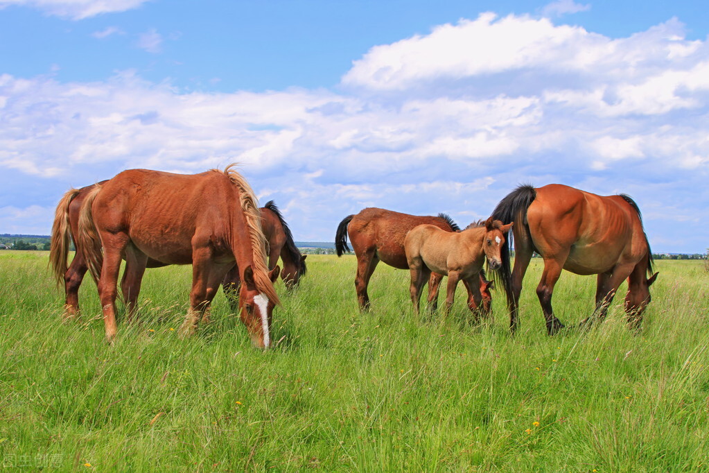 销售员这样说，客户才会买买买