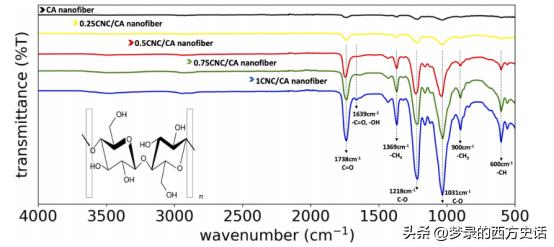 纤维和结晶纳米纤维素对醋酸纤维素膜的增强作用
