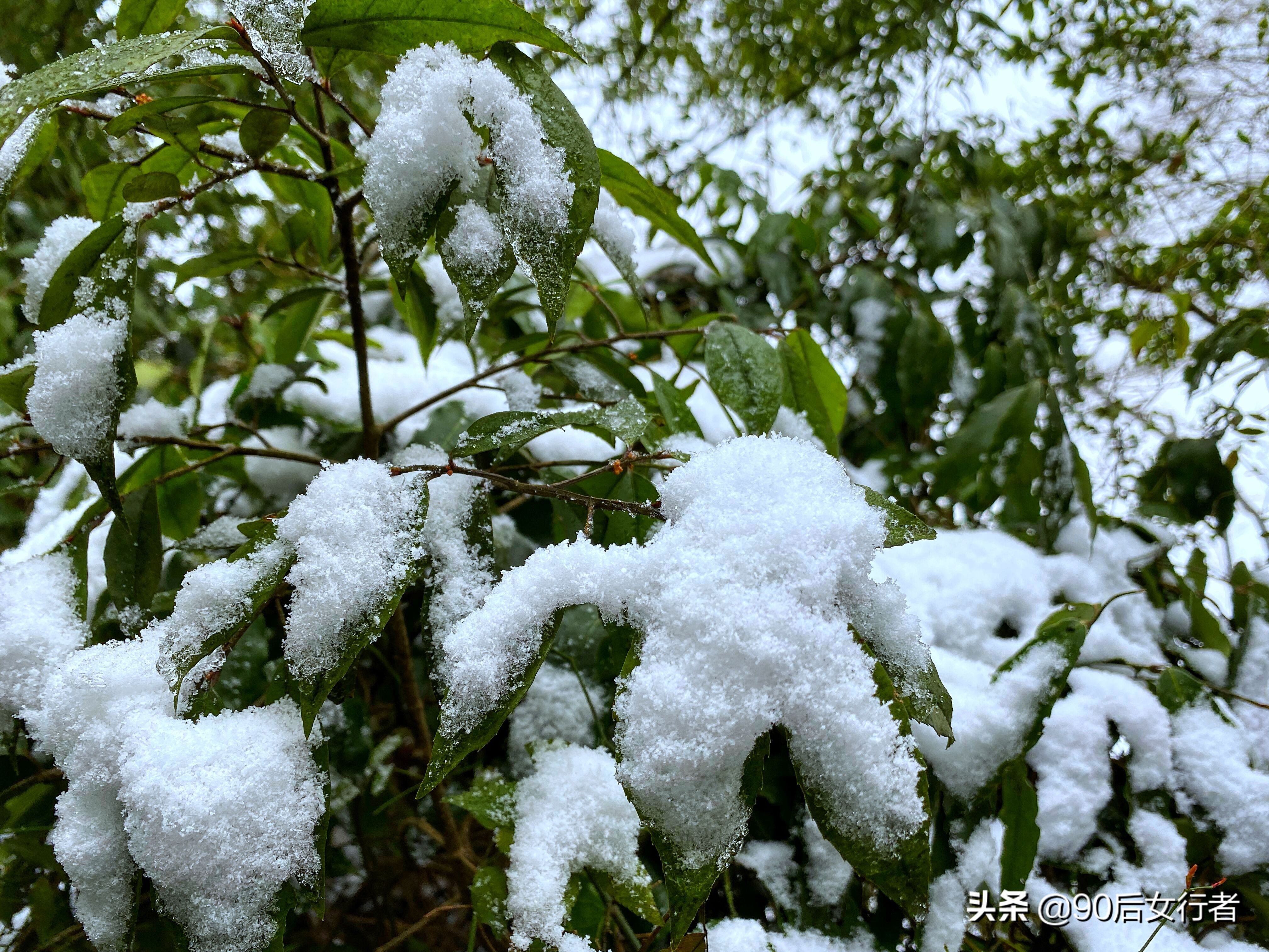 下雨天去拜访师傅合适吗,雨天去青城山