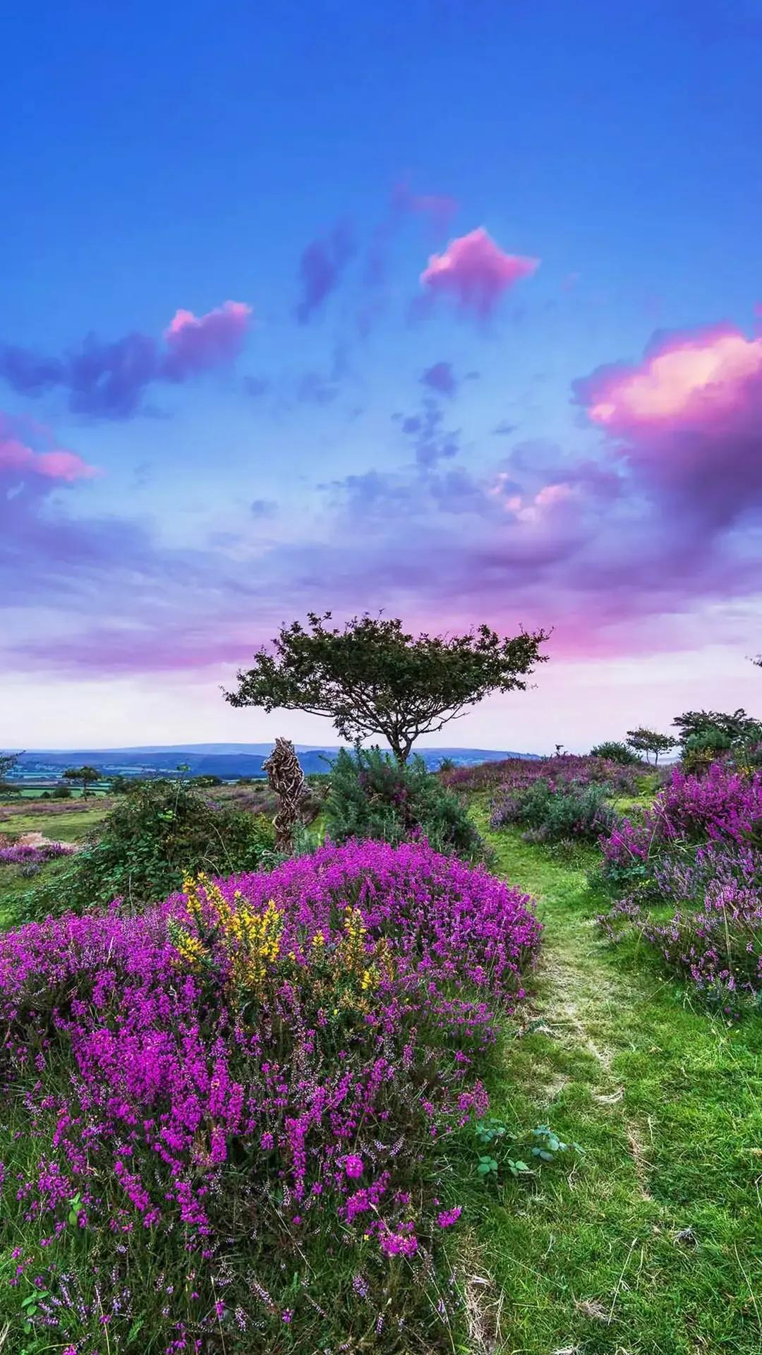 人生没有如果只有厚积薄发,人的一生需要去沉淀