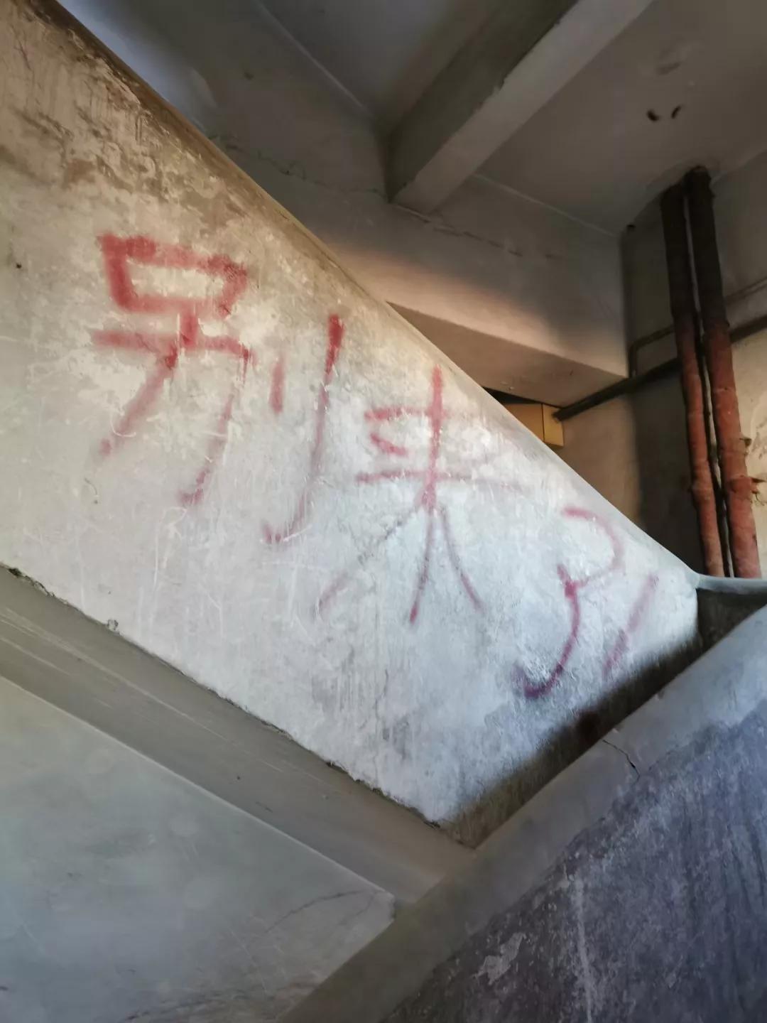 诡八楼现状,诡八楼讲了啥