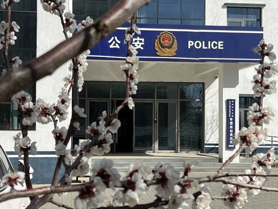 警花表白同为民警的新郎,警花燕子电影完整版