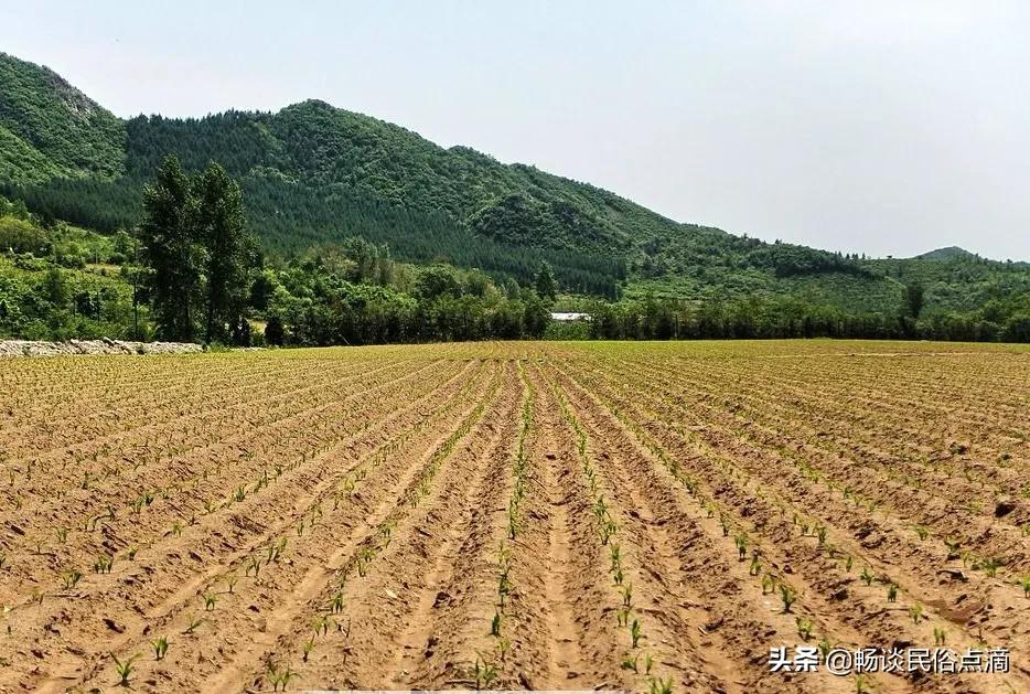 俗语：“三月怕三七，四月怕初一”，四月初一到了，有什么可怕的