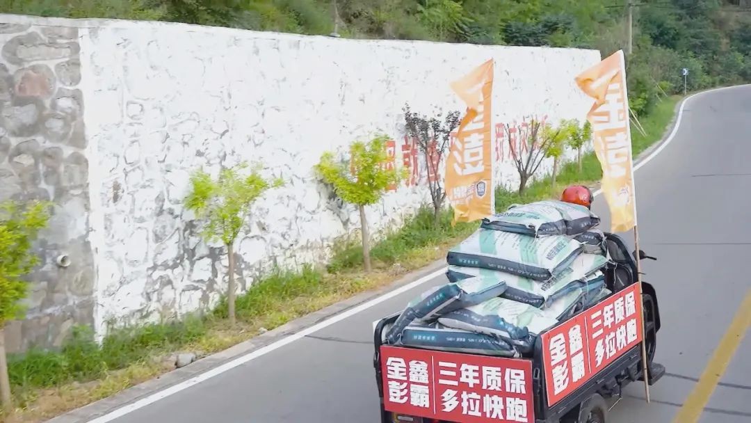 正规电动三轮车什么牌子的最好,现在买电动三轮车哪个牌子好