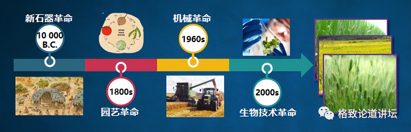 二氧化碳变成淀粉靠谱吗,用二氧化碳合成的淀粉怎样吃