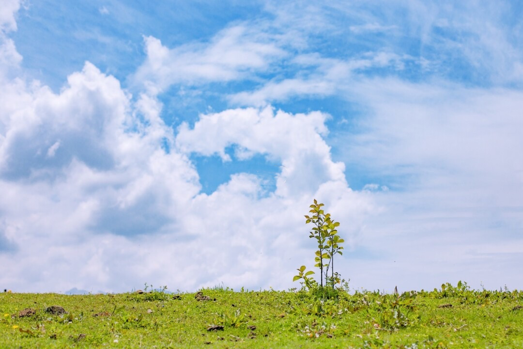 一天来回！别名“小九寨”的油画秋色、高山草甸，一站式游玩到底