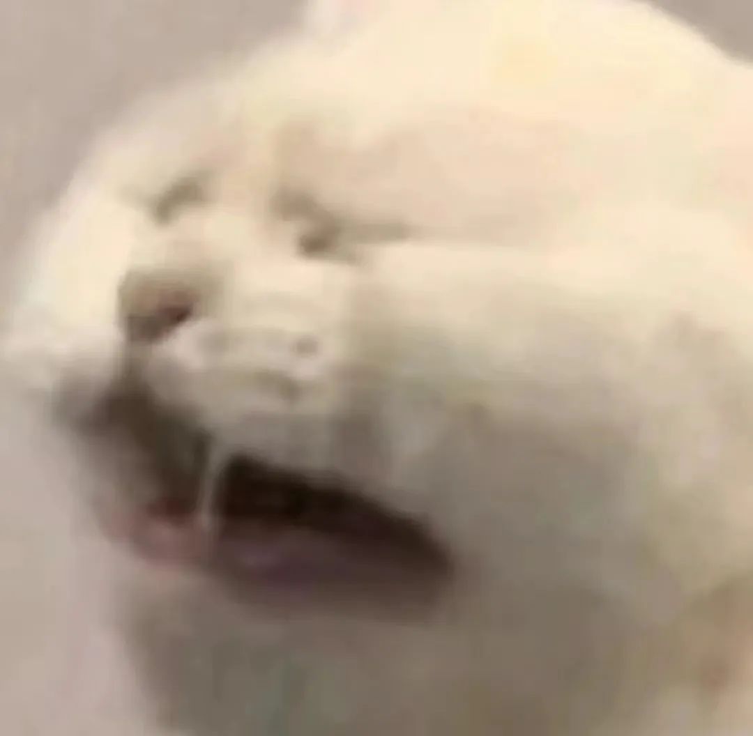 离谱，我被伦艺CCI骗了