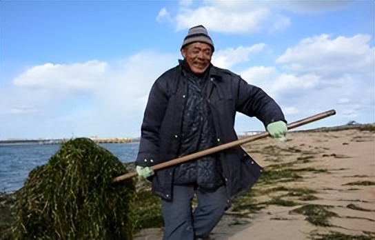 胶东海草房简介,胶东原始的海草房