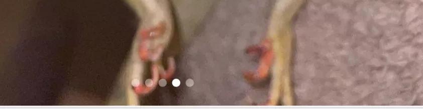 卡戴珊被吐槽,卡戴珊被批评作秀