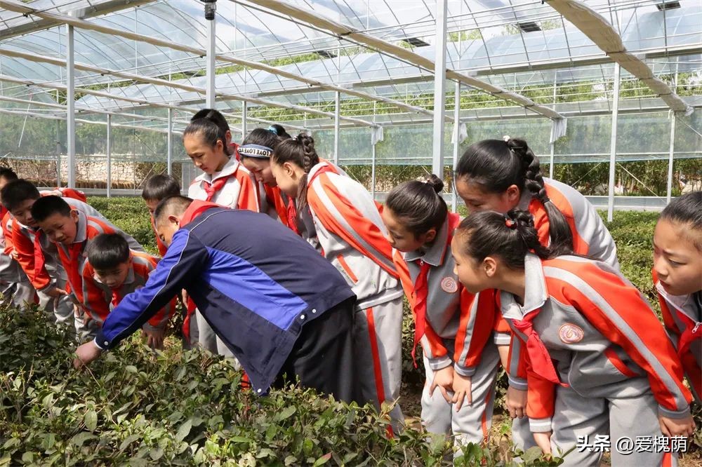 济南市槐荫区大金小学视频,槐荫区大金小学