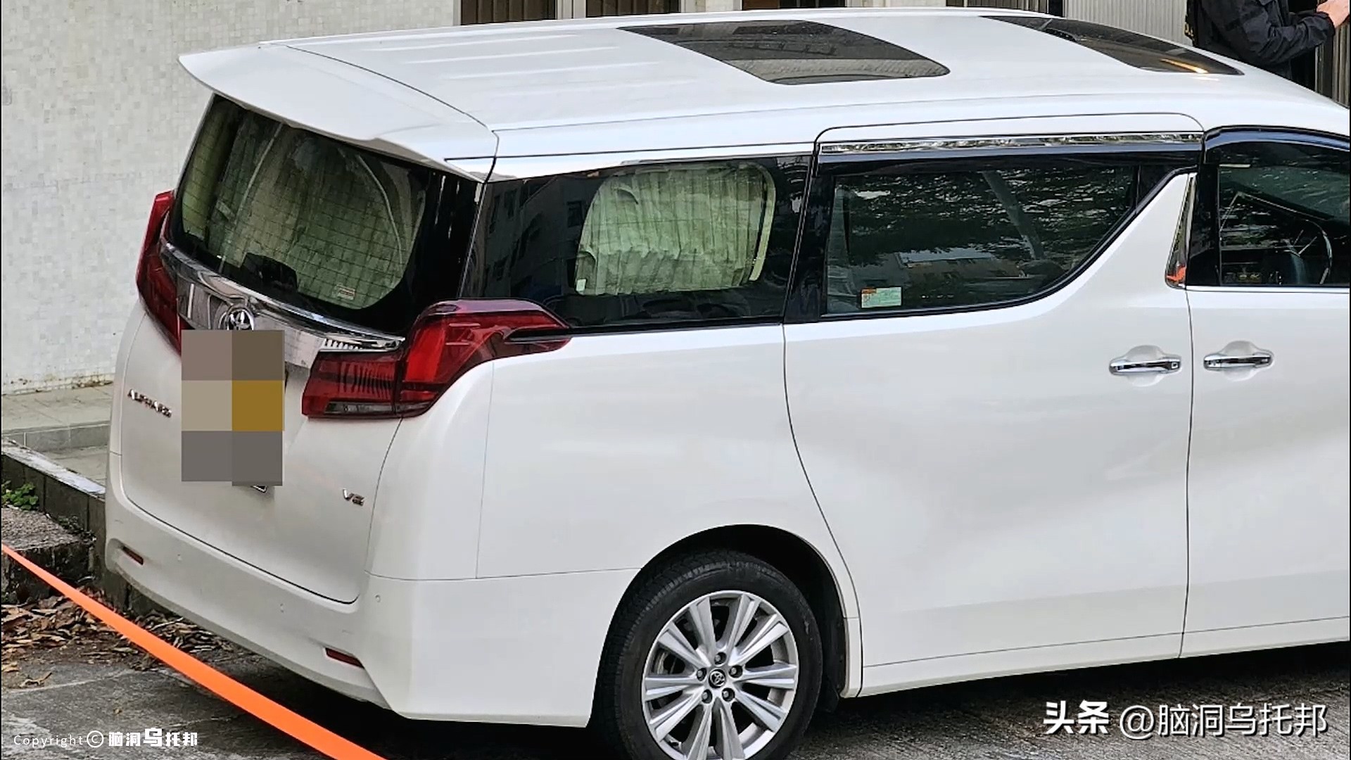 名媛碎尸案最新案情,名媛蔡天凤碎尸案细节视频