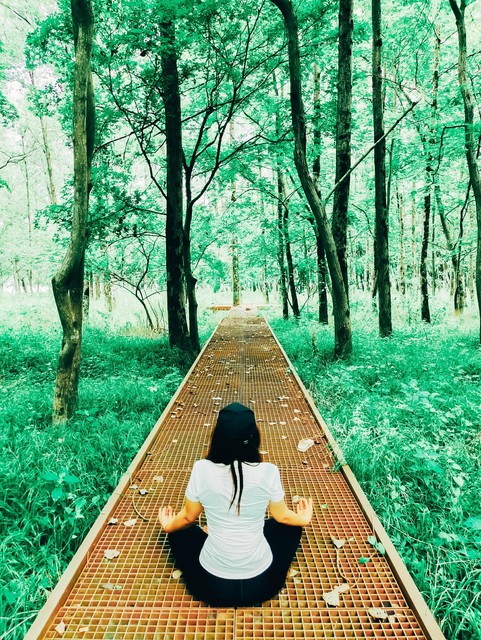 朴树的父亲竟是“国之骄傲”？声称神曲是一生的污点