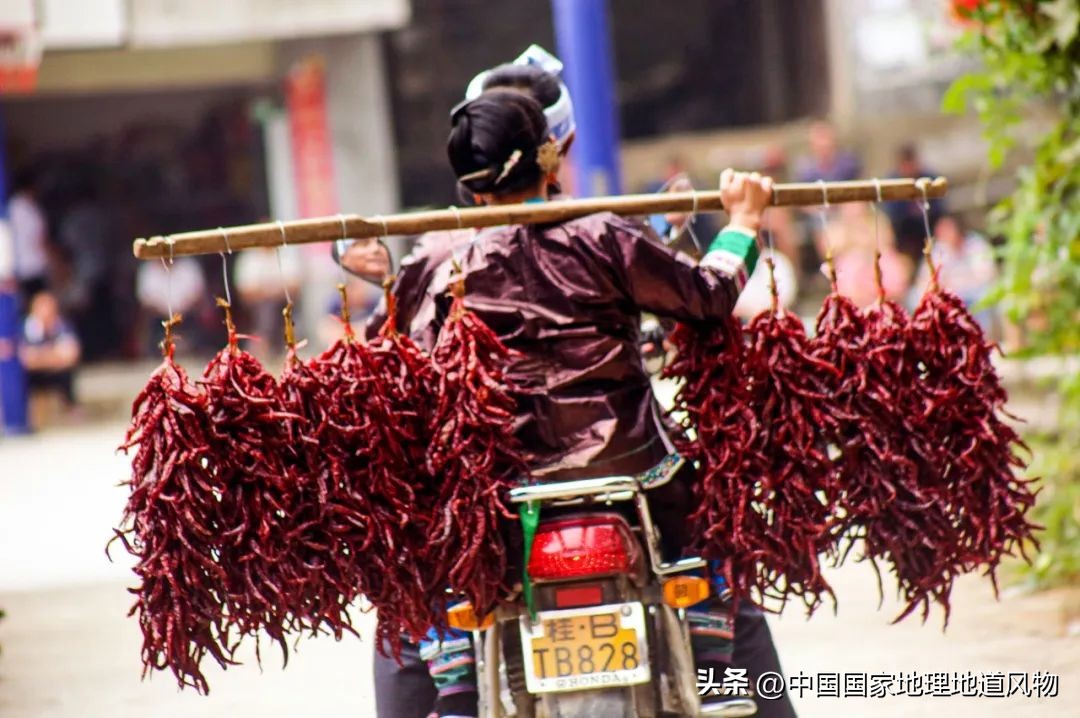 柳州是广西第二大城市吗,广西桂林和柳州哪个城市好