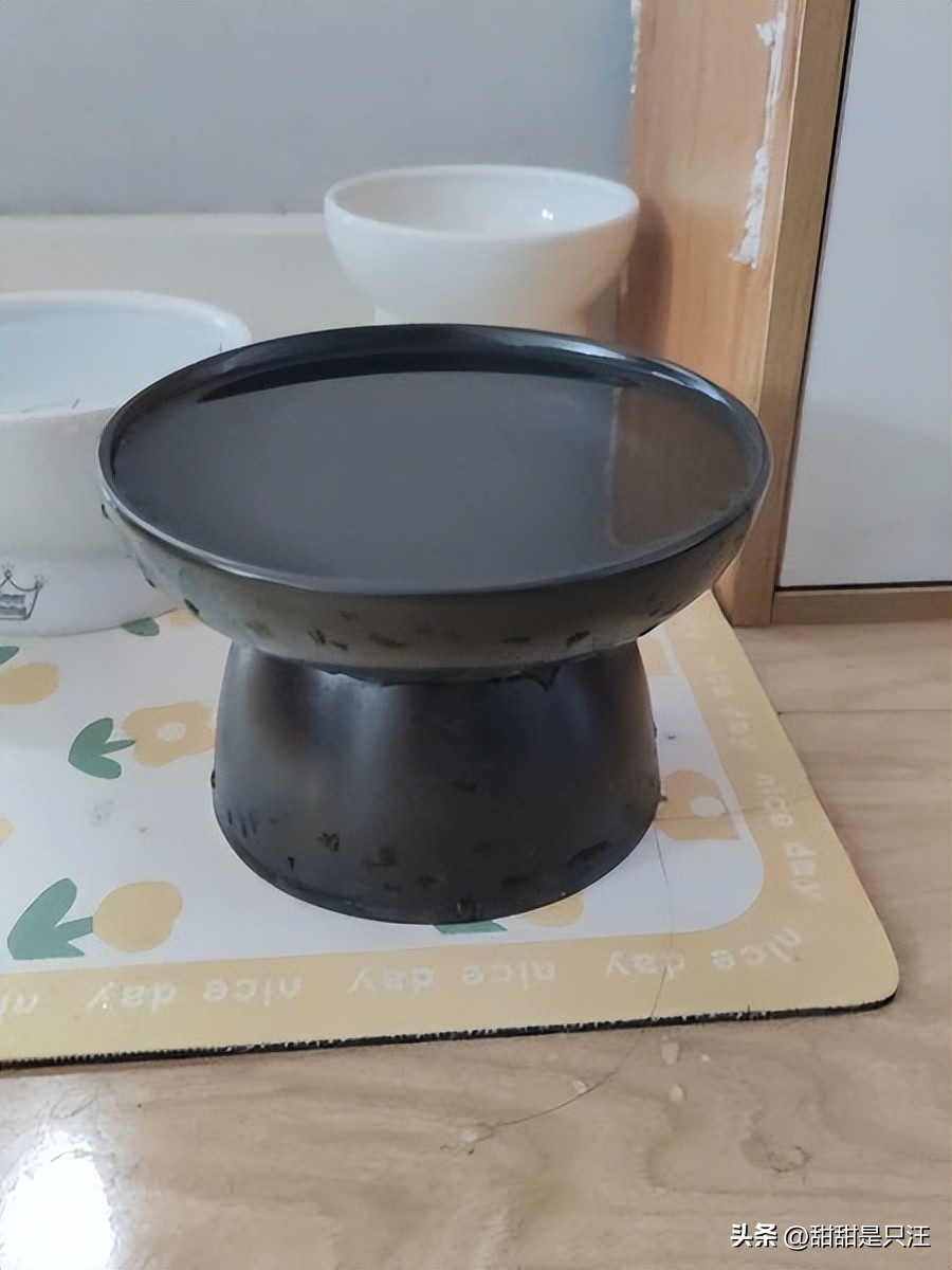 猫咪不喝水？教你10招骗水小技巧