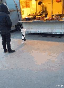 当代网友骂人能斯文到什么样子,网友骂人可以斯文到什么程度